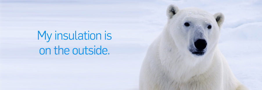 I wear my insulation on the outside